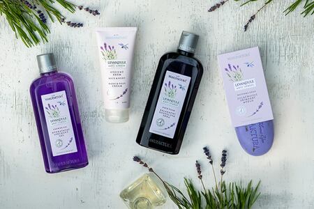The Lavender in new design: Interview with the creative manager of Manufaktury