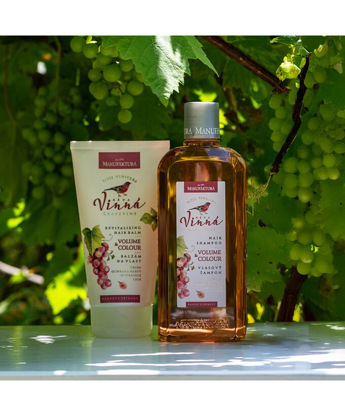 Revitalizující šampon Objem & Barva VINNÁ KOSMETIKA