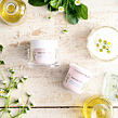 DAISY Anti-Pollution Day Face Cream